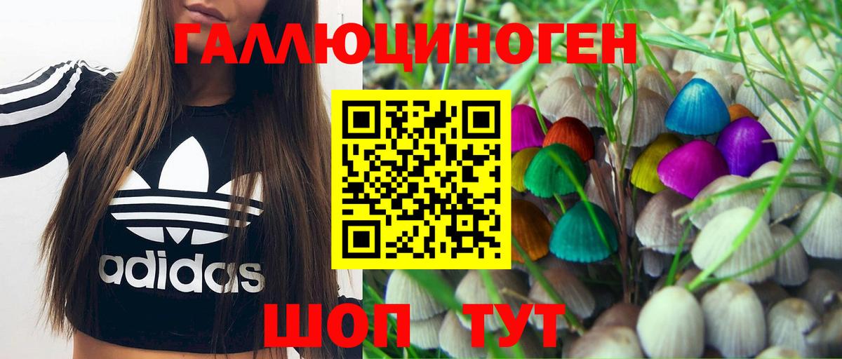 Нальчик  Галлюциногенные грибы Cubensis  Вход с VPN 